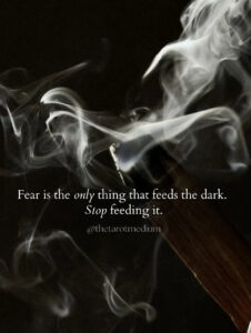 Fear is the only thing that feeds the dark. Stop feeding it. Quote about fear feeding negative entities and how to stop it, from a psychic medium.